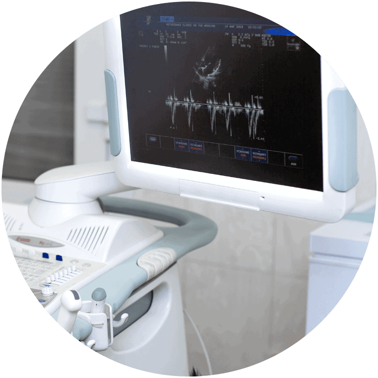 diagnostics and ultrasound